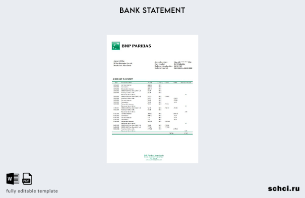 скачать цифровую версию шаблона выписки по счету банка BNP Paribas в Мавритании