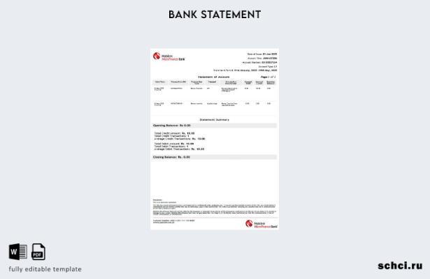 цифровая загрузка Пакистан Mobilink Микрофинансовый банковский выписка по счету