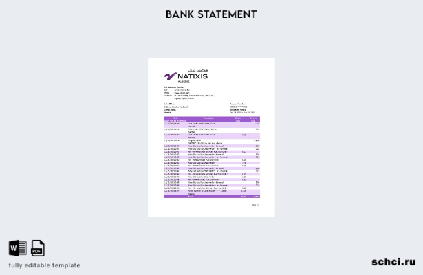 цифровая загрузка шаблон Excel банковской выписки Алжира Natixis Алжира