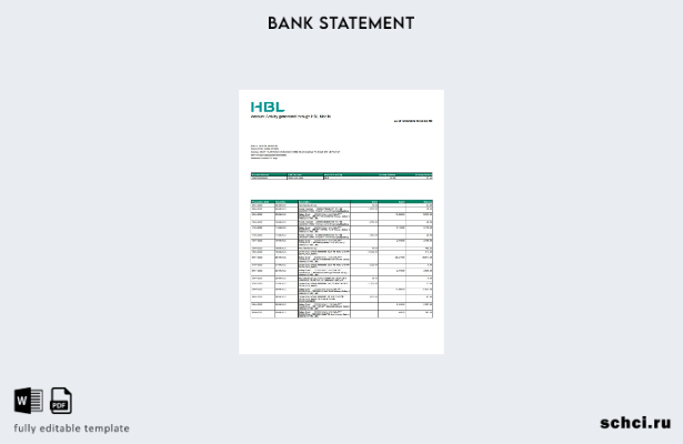цифровая загрузка шаблона слова банковской выписки Пакистана HBL