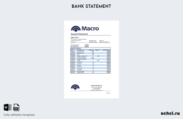 цифровая загрузка шаблона Excel банковской выписки Аргентины Banco Macro S.A.