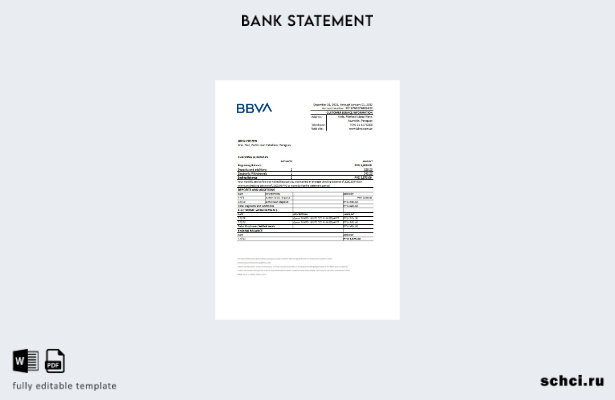 цифровая загрузка шаблона Excel банковской выписки Парагвая BBVA