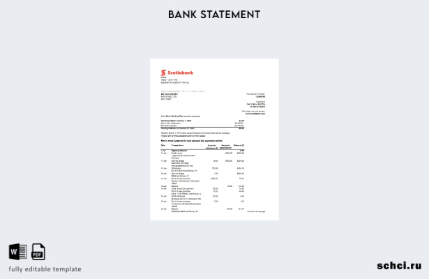 цифровая загрузка шаблона Excel выписки австралийского банка Scotiabank