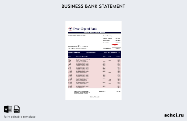 цифровая загрузка выписки со счета компании Texas Capital Bank Шаблон в формате