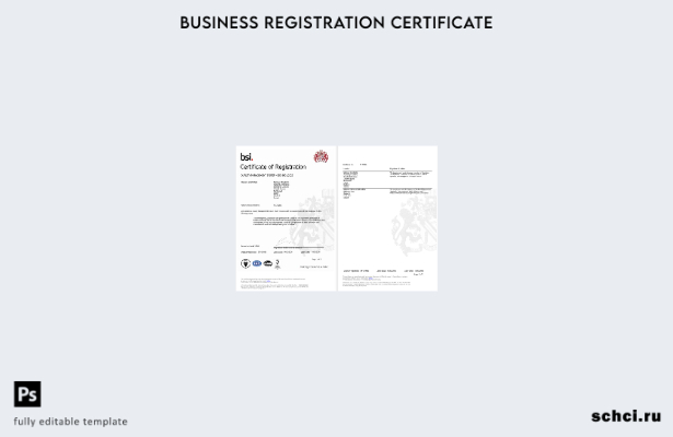 цифровая загрузка Ирландия Дублин Сертификат о регистрации BSI Шаблон в формате