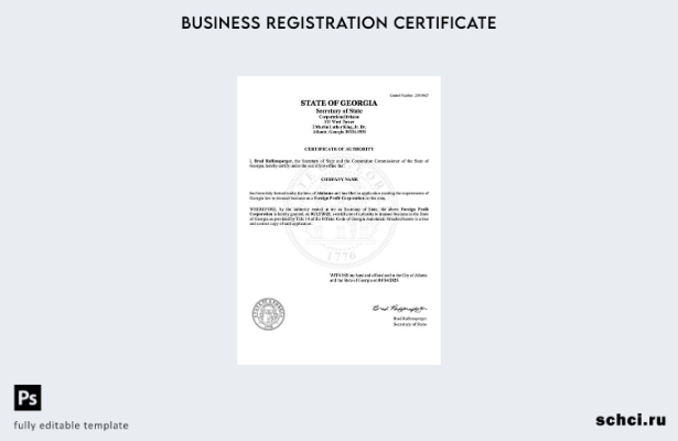 цифровая загрузка США, Грузия, сертификат полномочий Word и шаблон PDF