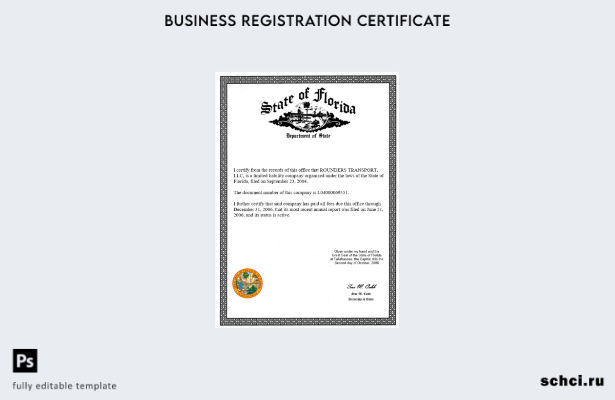 цифровая загрузка сертификата о лицензии на ведение бизнеса в США, штат Флорида,