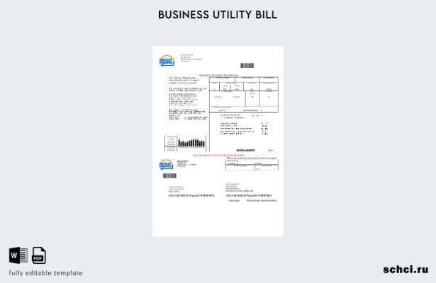 скачать в цифровом формате, США, Флорида, Seco Energy, шаблон счета за коммуналь