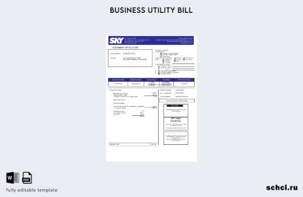 скачать шаблон счета за коммунальные услуги Sky Cable Corporation в цифровом фор