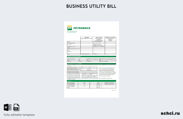 цифровая загрузка Petrobras Paraguay Operations and Logistics, шаблон счета за к