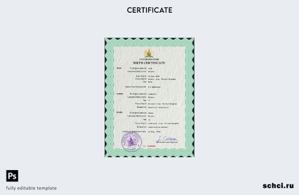 Скачать PSD шаблон свидетельства о рождении в цифровом формате в Соединенном Кор