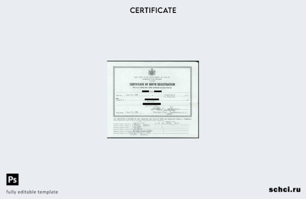 скачать в цифровом формате шаблон свидетельства о рождении Нью Йоркского бюро за