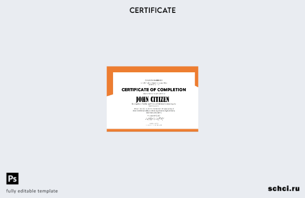 скачать в цифровом формате шаблон сертификата о стажировке инженеров Denz в США