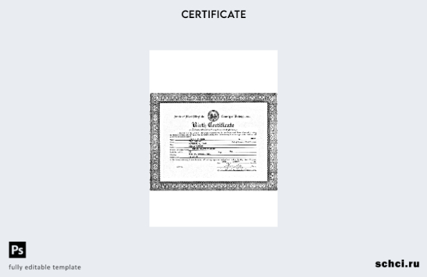 скачать цифровой шаблон свидетельства о рождении США, Западная Вирджиния