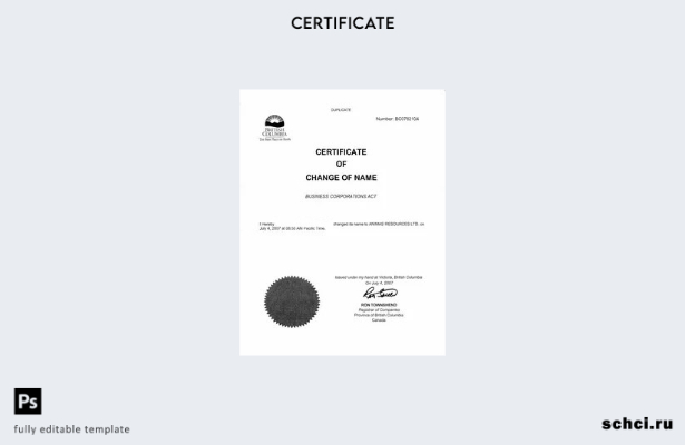 скачать цифровую версию шаблона сертификата об изменении названия в Регистре ком