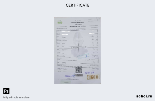 цифровая загрузка Пакистан Правительство Пенджаба Шаблон свидетельства о браке П