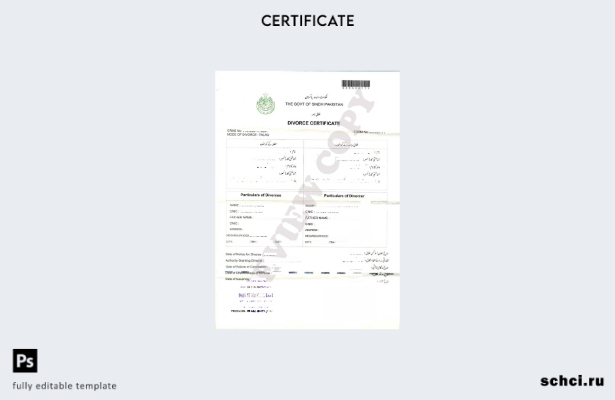 цифровая загрузка Пакистан Правительство провинции Синд Шаблон свидетельства о р