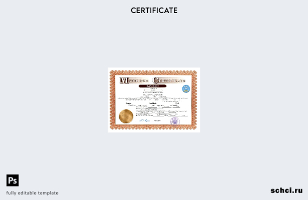 цифровая загрузка свидетельства о браке Мали в формате Word и PDF шаблона