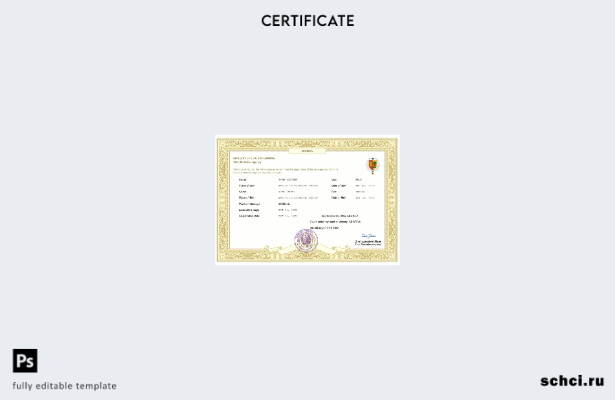 цифровая загрузка свидетельства о браке Сенегала в формате Word и PDF шаблона
