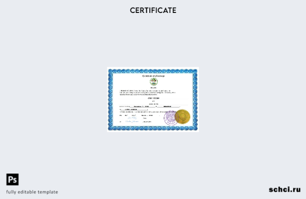 цифровая загрузка свидетельства о браке в Белизе, шаблон Word и PDF