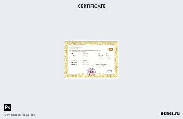 цифровая загрузка свидетельства о браке в Гонконге, шаблон Word и PDF