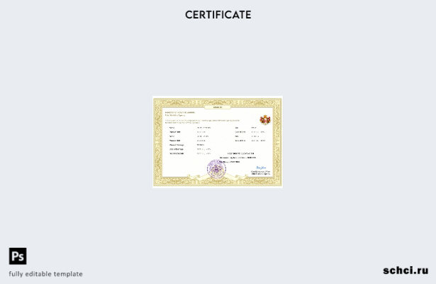 цифровая загрузка свидетельства о браке в Монако, шаблон Word и PDF