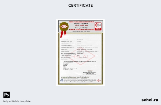 цифровая загрузка шаблона сертификата Турецкого института стандартов 1