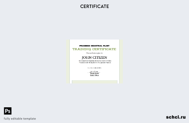 цифровая загрузка шаблона сертификата об обучении в США в формате Word и PDF, ша