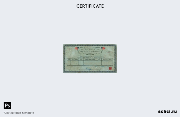 цифровая загрузка шаблона сертификата об усыновлении Нью Йоркского реестра стати
