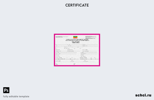 цифровая загрузка шаблона сертификата об усыновлении для регистрации жизненно ва