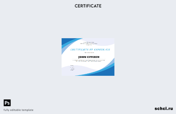 цифровая загрузка шаблона сертификата опыта работы в сфере сантехники в США