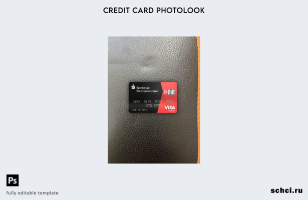 цифровая загрузка Германия Sparkasse Westmünsterland Bank Visa Classic Card фото