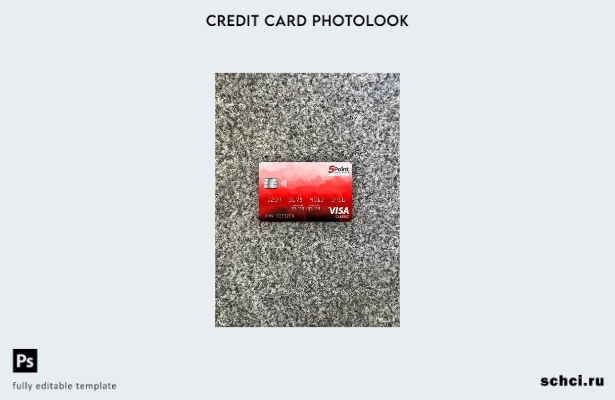 цифровая загрузка США Texas Point Credit Union Bank Visa Classic Card Photoview