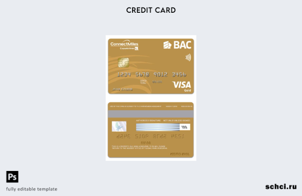 скачать в цифровом формате шаблон карты Visa Gold для Гондураса BAC Bank