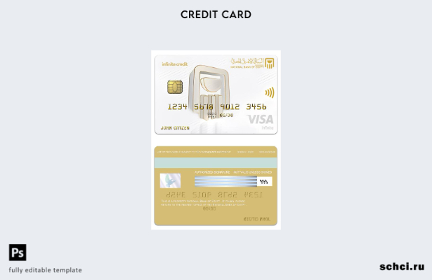цифровая загрузка Египта, Национальный банк Египта, шаблон карты Visa Infinite