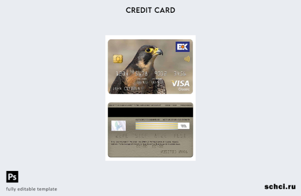 цифровая загрузка Пакистан Банк Хайбера, шаблон классической карты Visa банка