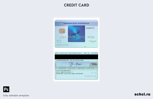 цифровая загрузка США Калифорния Банк BlueVine Карта Blue Cash Everyday® из шабл