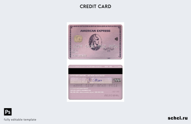 цифровая загрузка США ADP Earnings Bank American Express шаблон карты из розовог