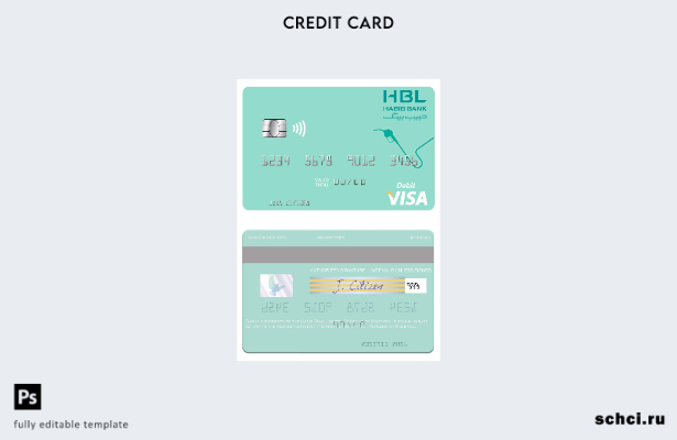 цифровая загрузка шаблона карты Visa Maldives Habib Bank Limited
