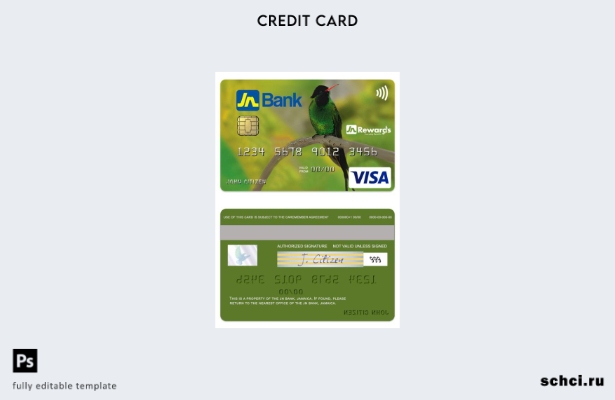 цифровая загрузка шаблона классической кредитной карты Visa Jamaica JN Bank