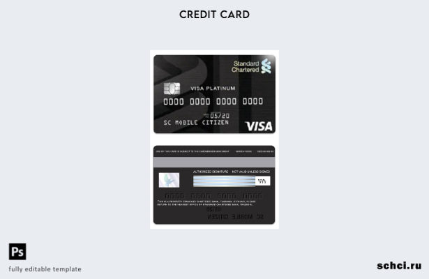цифровая загрузка шаблона кредитной карты Visa Platinum Tanzania Standard Charte