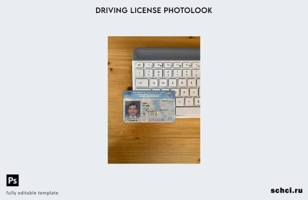цифровая загрузка Мексика Нижняя Калифорния водительские права фотообраз шаблона