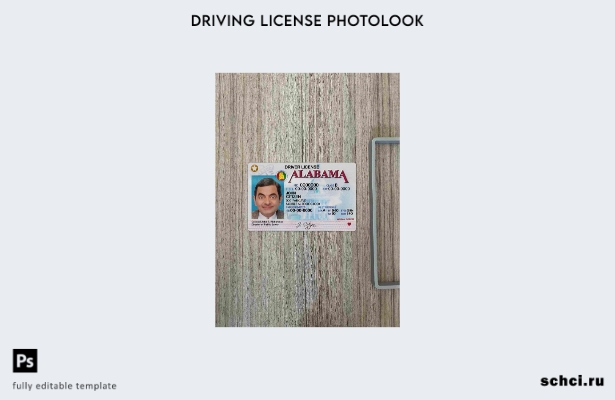 цифровая загрузка США Алабама DL шаблон Photolook FRONT