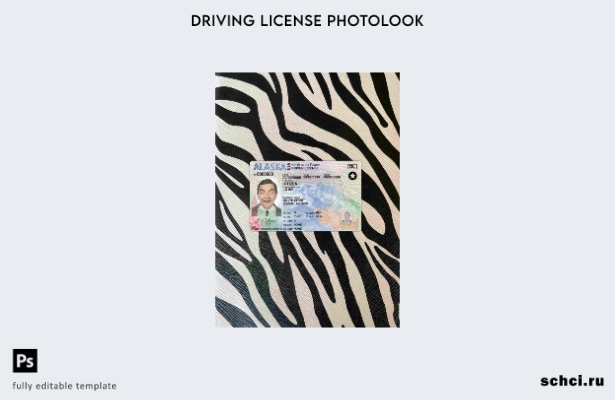цифровая загрузка США Аляска DL шаблон Photolook FRONT