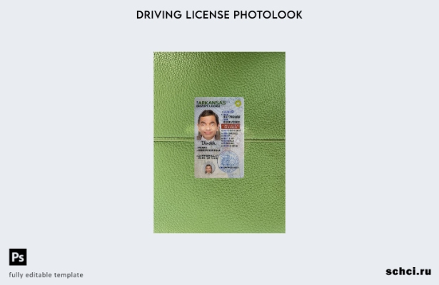 цифровая загрузка США Арканзас под водительскими правами фотовид переднего шабло