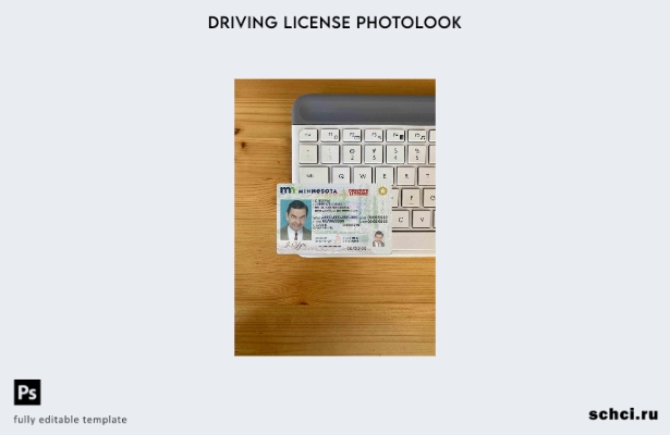 цифровая загрузка США Миннесота DL шаблон Photolook FRONT