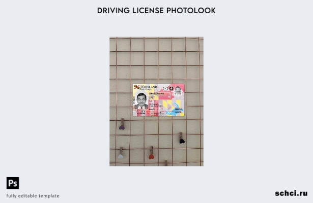 цифровая загрузка США Мэриленд DL представляет фотообраз шаблона ПЕРЕДНЕЙ сторон
