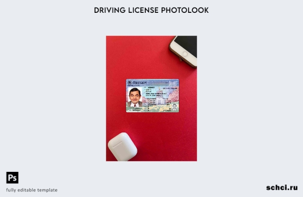 цифровая загрузка США Орегон DL шаблон Photolook FRONT