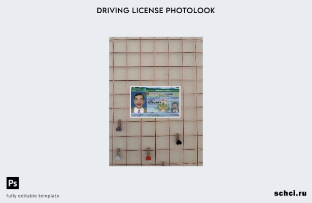 цифровая загрузка США Vermont DL ( ) шаблон фотоизображения FRONT