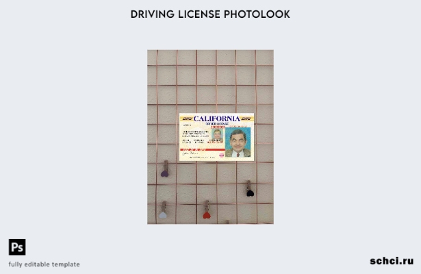 цифровая загрузка США, Калифорния, версия водительских прав, фотообраз шаблона F